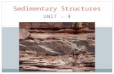 UNIT - 4 Sedimentary Structures. TRANSPORT MEDIA Gravity is the simplest mechanism of sediment transport. It includes the movement of particles under.