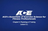 ACE’s Essentials of Exercise Science for Fitness Professionals Chapter 5: Physiology of Training Lesson 5.1.