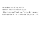 Review ENSO & PDO North Atlantic Oscillation Continuous Plankton Recorder survey NAO effects on plankton, jellyfish, cod.