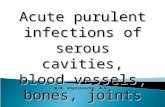 M.d. Shydlovscky. A.V. Acute purulent infections of serous cavities, blood vessels, bones, joints.