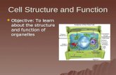 Cell Structure and Function  Objective: To learn about the structure and function of organelles.