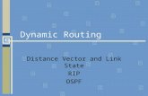 Dynamic Routing Distance Vector and Link State RIP OSPF.