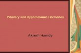 Pituitary and Hypothalamic Hormones Akrum Hamdy. Introduction Most pituitary and hypothalamic hormone are trophic hormones. This and other factors limit.