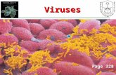 1 Viruses Page 328. Objectives Describe why viruses are not considered as living organisms.Describe why viruses are not considered as living organisms.