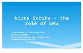 Acute Stroke - the role of EMS Diane Handler, RN, MSN, MeD, ANVP Stroke Coordinator Mercy Medical Center, Cedar Rapids. Iowa dhandler@mercycare.org.