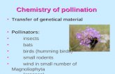 Chemistry of pollination Transfer of genetical material Pollinators: insects bats birds (humming birds) small rodents wind in small number of Magnoliophyta.