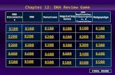Chapter 12: DNA Review Game $100 $200 $300 $400 $500 $100$100 $100 $200 $300 $400 $500 DNA Discoveries RNA Mutations Regulating Genes DNA Replication,