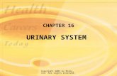 Copyright 2003 by Mosby, Inc. All rights reserved. CHAPTER 16 URINARY SYSTEM.