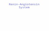 Renin-Angiotensin System. Afferent Efferent JG Apparatus Macula Densa.