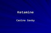 Ketamine Carina Saxby. Overview Why? Case presentation Mechanism of action in neuropathic pain Evidence for its use in cancer patients Pharmacology Protocols.