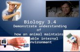 Biology 3.4 Demonstrate understanding of how an animal maintains a stable internal environment.
