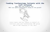 Feeding Tracheostomy Patients with the Cuff Inflated What does the evidence say? What are Speech Pathologists doing on the ground? Klint Goers and Kat.