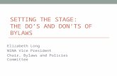 SETTING THE STAGE: THE DO’S AND DON’TS OF BYLAWS Elizabeth Long NSNA Vice President Chair, Bylaws and Policies Committee.