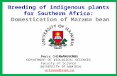 Breeding of indigenous plants for Southern Africa: Domestication of Marama bean Percy CHIMWAMUROMBE DEPARTMENT OF BIOLOGICAL SCIENCES Faculty of Science.
