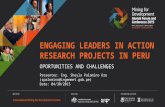 Presenter: Eng. Sheyla Palomino Ore (spalomino@ingemmet.gob.pe) Date: 04/30/2015 ENGAGING LEADERS IN ACTION RESEARCH PROJECTS IN PERU OPORTUNITIES AND.