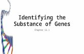 Identifying the Substance of Genes Chapter 12.1. Identifying the Substance of Genes How does a gene work? If we wanted to understand how a car engine.