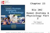 1 Chapter 23 Bio 202 Human Anatomy & Physiology Part 2 Tim Pimperl A & P Instructor Copyright © The McGraw-Hill Companies, Inc. Permission required for.