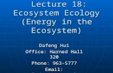 BIOL 4120: Principles of Ecology Lecture 18: Ecosystem Ecology (Energy in the Ecosystem) Dafeng Hui Office: Harned Hall 320 Phone: 963-5777 Email: dhui@tnstate.edu.