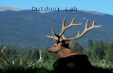 Outdoor Lab. History of the Outdoor Lab ● Week long residential Program for 6 th grade students ● Mount Evans Est. 1961 ● Windy Peak Est. 1975 ● Integral.
