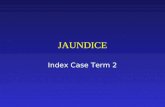 JAUNDICE Index Case Term 2. Jaundice Definition Causes History Investigation-Imaging Clinical Cases.