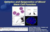 Genetics and Epigenetics of Blood Stem Cell Function Grant Challen, Ph.D. / Challen Lab Division of Oncology Department of Internal Medicine Washington.
