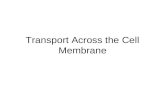 Transport Across the Cell Membrane. Types of Cellular Transport Passive Transport cell doesn’t use energy 1.Diffusion 2.Facilitated Diffusion 3.Osmosis.