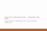 Floyd County Comprehensive Plan - Demographic Data Report FLOYD COUNTY COMPREHENSIVE PLAN STEERING COMMITTEE.