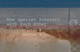 How Species Interact with Each Other Chapter 8 Section 2.