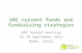 GNC current funds and fundraising strategies GNC Annual meeting 16-18 September 2014 Rome, Italy.