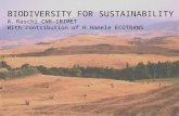 BIODIVERSITY FOR SUSTAINABILITY A.Raschi CNR-IBIMET With contribution of H.Hamele ECOTRANS.