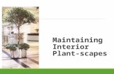 Maintaining Interior Plant-scapes. Next Generation Science/Common Core Standards Addressed! CCSS.ELA Literacy Follow precisely a complex multistep procedure.