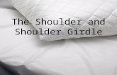 The Shoulder and Shoulder Girdle. PAINFUL SHOULDER SYNDROMES, IMPINGEMENT SYNDROMES: NONOPERATIVE MANAGEMENT Ghurki Trust Teaching Hospital.