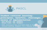 Student-centered learning: principles, benefits, challenges, levels of implementation Pusa Nastase, CEU, Budapest Matyas Szabo, CEU, Budapest PASCL Training.