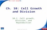End Show 10–1 Cell Growth Slide 1 of 14 Copyright Pearson Prentice Hall Ch. 10: Cell Growth and Division 10-1: Cell growth, Division, and Reproduction.