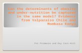 Can the determinants of obesity and under-nutrition be captured in the same model? Evidence from Valparaiso Chile and Mombasa Kenya Pat Pridmore and Roy.