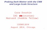 Probing Dark Matter with the CMB and Large-Scale Structure 1 Cora Dvorkin IAS (Princeton) Harvard (Hubble fellow) COSMO 2014 August 2014, Chicago.