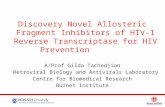 1111 Discovery Novel Allosteric Fragment Inhibitors of HIV-1 Reverse Transcriptase for HIV Prevention A/Prof Gilda Tachedjian Retroviral Biology and Antivirals.
