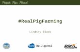 #RealPigFarming Lindsay Black. What is #RealPigFarming It’s a social movement – Among pig farmers and friends – Feature real farms and tell real stories.
