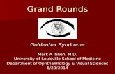 Grand Rounds Goldenhar Syndrome Mark A Ihnen, M.D. University of Louisville School of Medicine Department of Ophthalmology & Visual Sciences 6/20/2014.