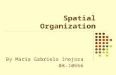 Spatial Organization By Maria Gabriela Inojosa 08-10556.