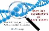 What are misidentified cell lines? International Cell Line Authentication Committee ICLAC.org.
