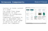 Sitecore Components Carries or holds content in a page. Can range from image galleries to text holders to collapsible content boxes. Components available.
