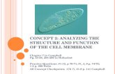 CONCEPT 2: ANALYZING THE STRUCTURE AND FUNCTION OF THE CELL MEMBRANE Chapter 7 in Campbell Pg. 53-58, 294-296 in Holtzclaw Practice Questions: #1-12, p.