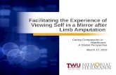 Facilitating the Experience of Viewing Self in a Mirror after Limb Amputation Caring Compassion in Healthcare: A Global Perspective March 17, 2015.
