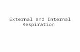 External and Internal Respiration. Learning Outcomes: C10 – Analyse internal and external respiration –State location –Describe conditions (ph, temperature)