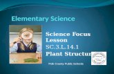 Science Focus Lesson SC.3.L.14.1 Plant Structures Polk County Public Schools.