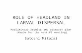 ROLE OF HEADLAND IN LARVAL DISPERSAL Satoshi Mitarai Preliminary results and research plan (Maybe for the next F3 meeting)