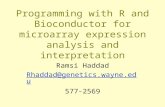 Programming with R and Bioconductor for microarray expression analysis and interpretation Ramsi Haddad Rhaddad@genetics.wayne.edu 577-2569.