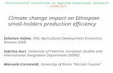 Climate change impact on Ethiopian small-holders production efficiency Solomon Asfaw, FAO, Agricultural Development Economics Division (ESA) Sabrina Auci,
