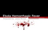 Ebola Hemorrhagic Fever Presented by: Jamie McGee.